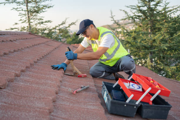 Best Roof Gutter Cleaning  in Massanutten, VA